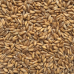 Pearl Barley 500g