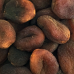 Macadamia Nuts - raw 125g