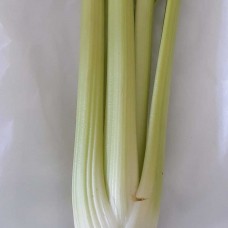 Celery  (each)