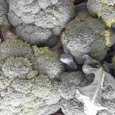 Broccoli - 100g