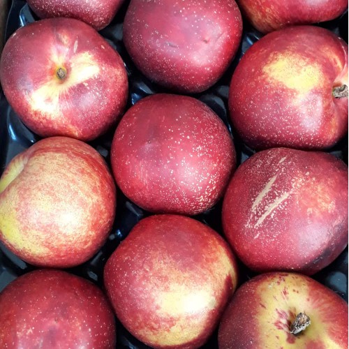 Apples various eating apples