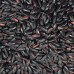 Infinity Organic Black Rice